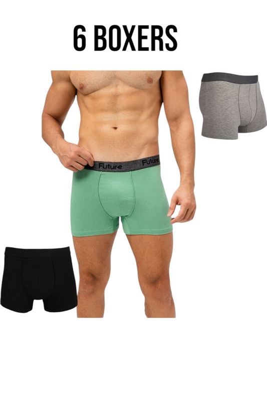A Pack Of 6 Pieces Contain From ( 6 Boxers) MultiColoure For Men